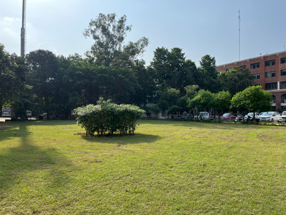 Babu Banarasi Das University Lucknow Campus photo 14